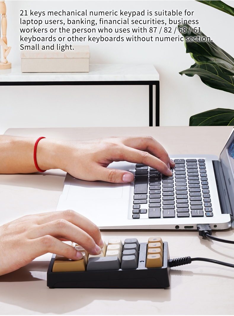 21-Key Mini Wired Keypad RGB B - Keyboard Numpad Separate recension och pris